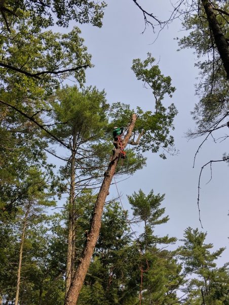 11afb85d-2d34-4fcb-b72e-e54c482b2128